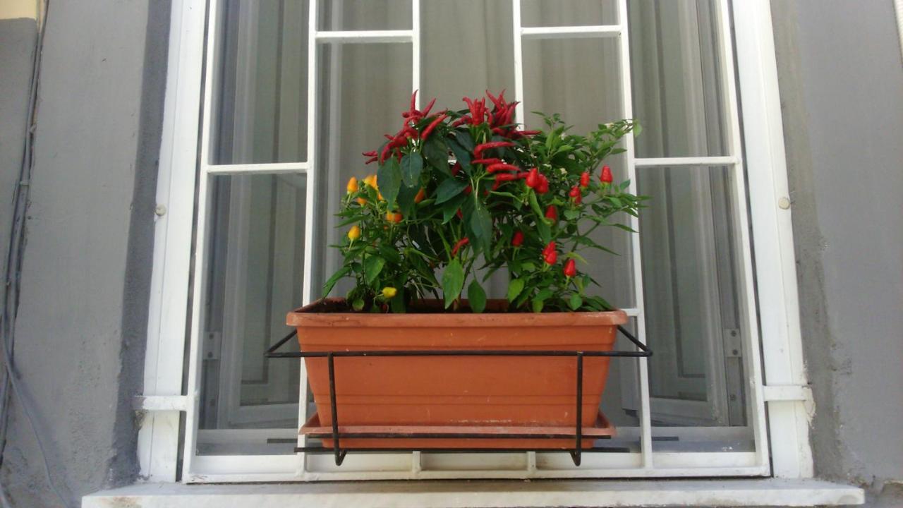 Ferienwohnung Vesuvius A Mezzocannone Neapel Exterior foto